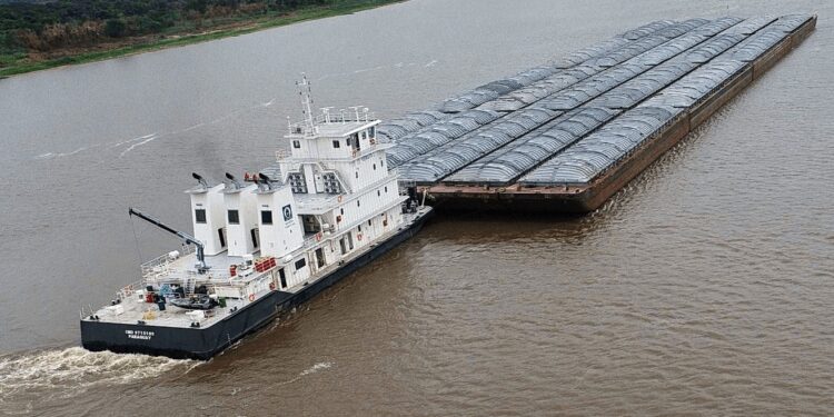 La soja de Uruguay se suma a la de Paraguay y salvan a la industria aceitera de una “severa crisis”