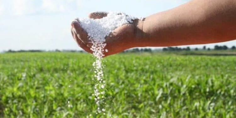 Brasil consume más del doble de fertilizantes por hectárea que Argentina