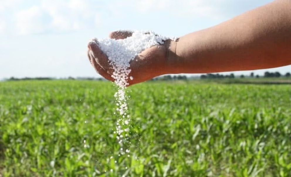 Brasil consume más del doble de fertilizantes por hectárea que Argentina