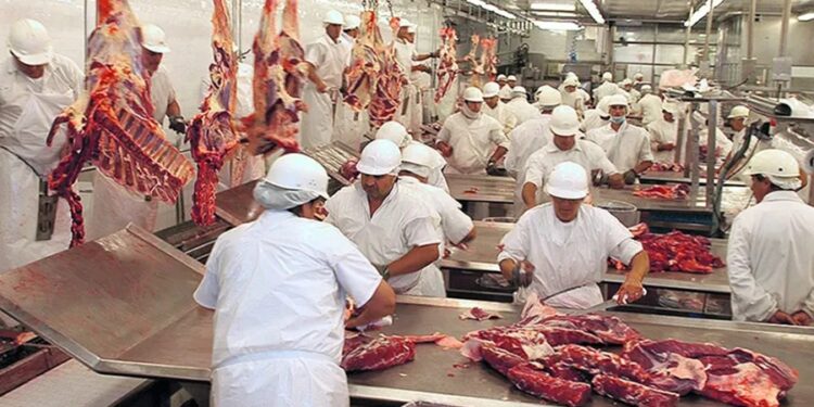 La Nación derogó una veintena de medidas relacionadas con diversas actividades productivas