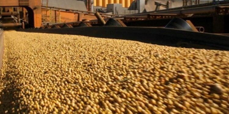 No solo de Paraguay: Argentina importa ahora soja de Uruguay por primera vez