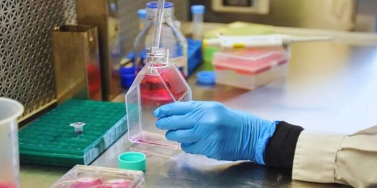 Sanidad animal: investigadores argentinos desarrollan vacunas de tercera generación contra la rabia