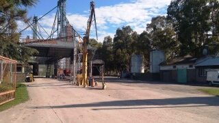 Acopiadores exigen fin de exenciones impositivas para cooperativas