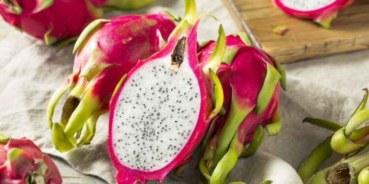 La pitahaya, el futuro de la fruticultura en Argentina