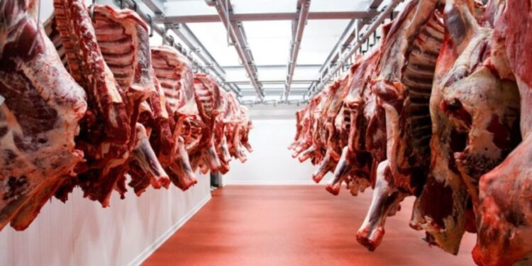 Cayeron moderadamente las exportaciones de carne vacuna