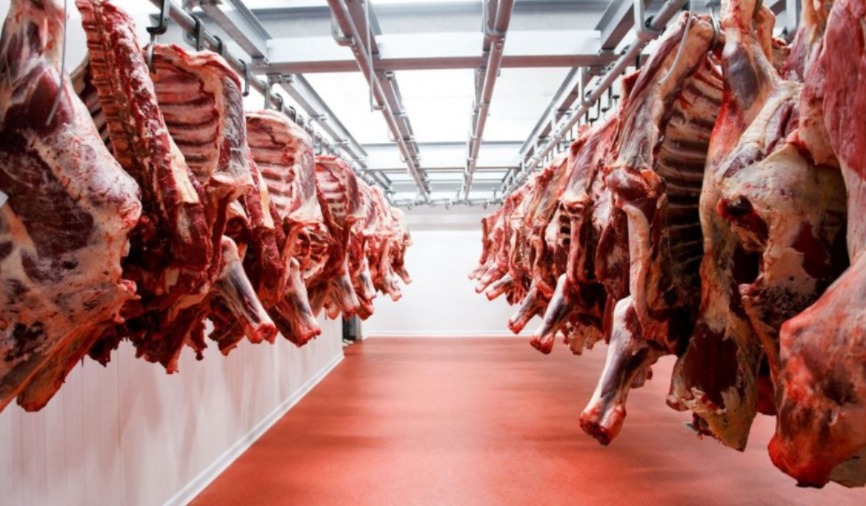 Cayeron moderadamente las exportaciones de carne vacuna
