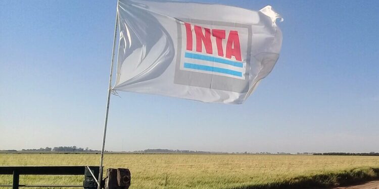 Tras tensos debates y negociaciones, el “plan de modernización” del INTA ya tiene vía libre
