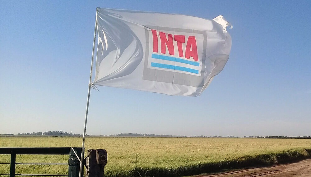 Tras tensos debates y negociaciones, el “plan de modernización” del INTA ya tiene vía libre