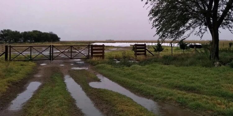 ¿Cuánto llovió en los últimos días en las diferentes zonas?