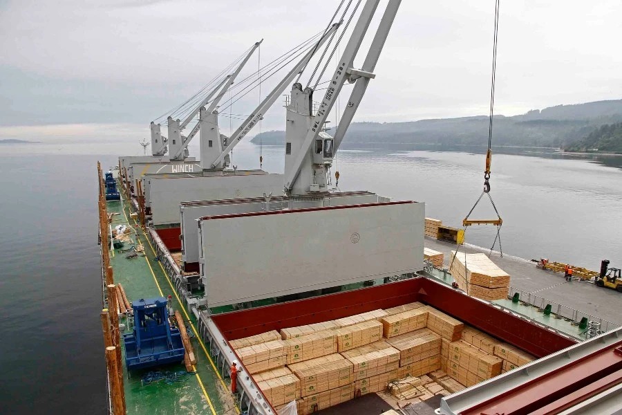 De enero a septiembre, la exportación de madera creció un 19% interanual