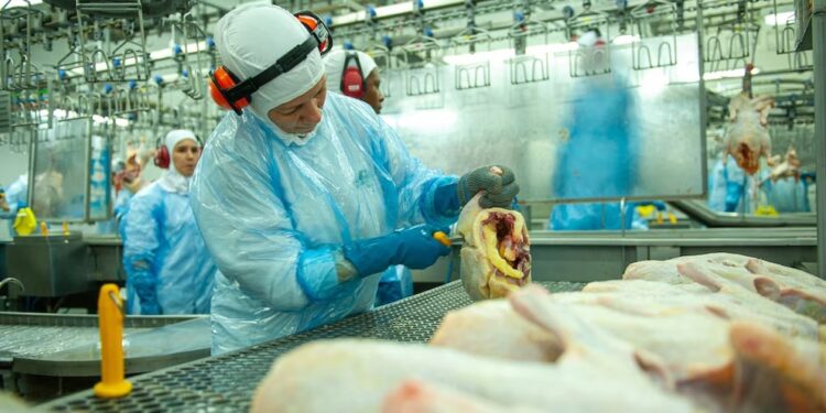 Crecieron 20% las exportaciones avícolas