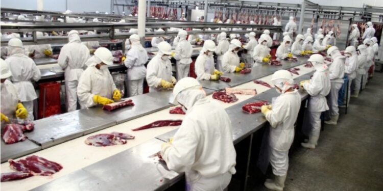 Federación Rural de Uruguay evalúa pedir esencialidad en la industria cárnica por los paros sorpresivos