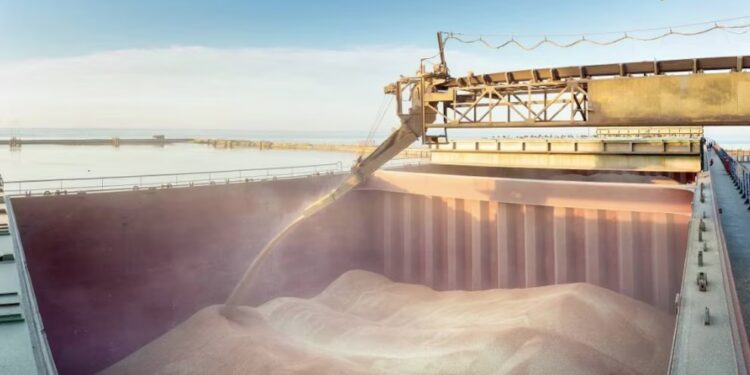 Argentina va por sus primeros envíos de trigo a China en décadas