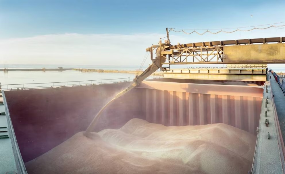 Argentina va por sus primeros envíos de trigo a China en décadas