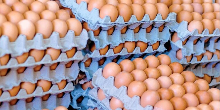 Denuncian un “alarmante crecimiento” en el contrabando de huevos en Argentina