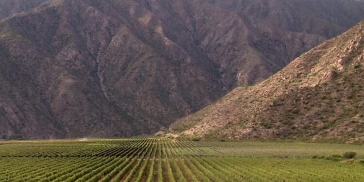 La Rioja, tercera provincia vitivinícola argentina