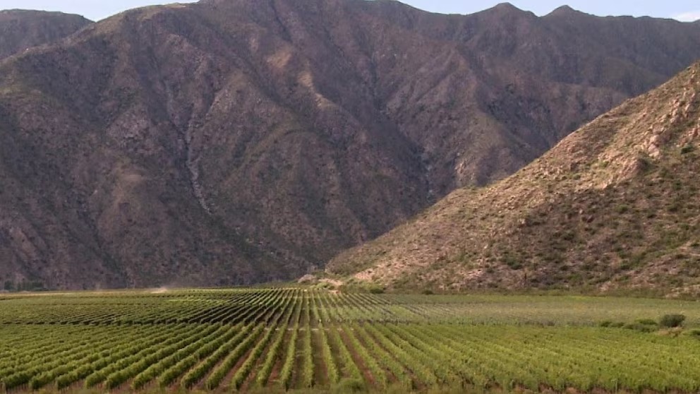 La Rioja, tercera provincia vitivinícola argentina