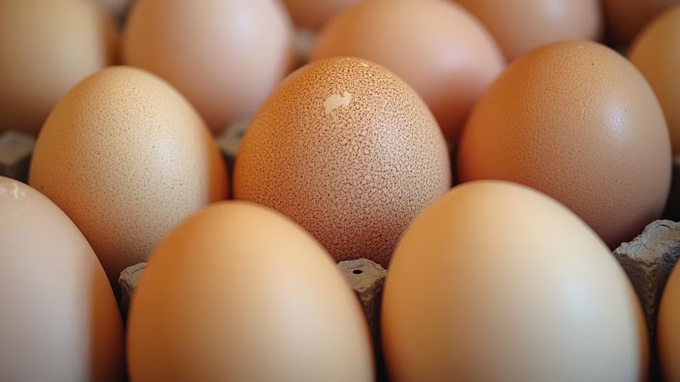Contrabando de huevos: un riesgo serio para la salud
