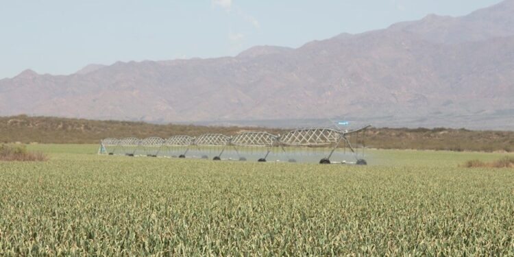 Mendoza invertirá U$S 28 millones para modernizar sistemas de riego