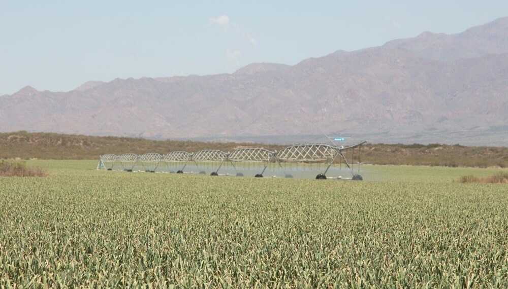 Mendoza invertirá U$S 28 millones para modernizar sistemas de riego