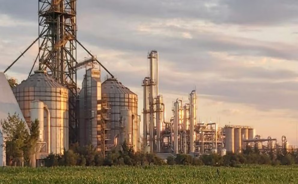 Aprobaron una nueva levadura para mejorar la producción de bioetanol