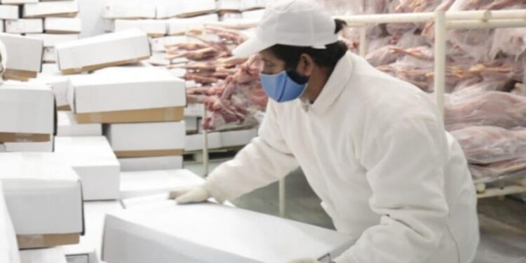 Nuevo mercado: Argentina comenzará a exportar carnes ovinas y caprinas a Marruecos