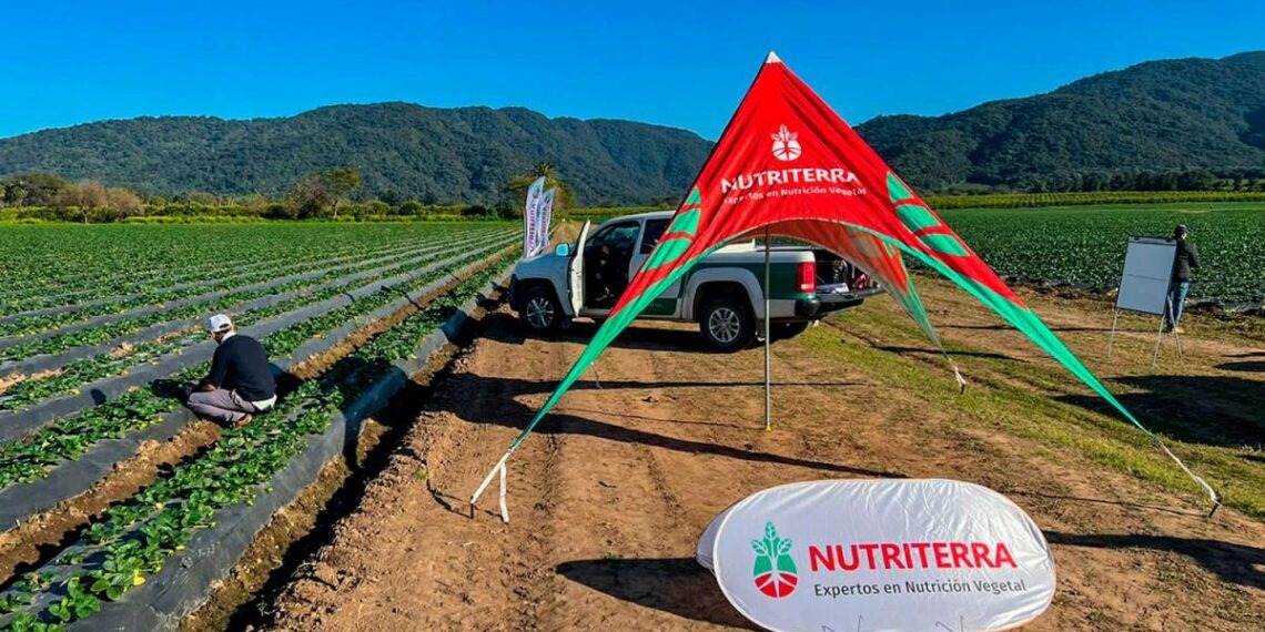 Fertilizantes líquidos y herbicidas: una solución integral para una agricultura eficiente