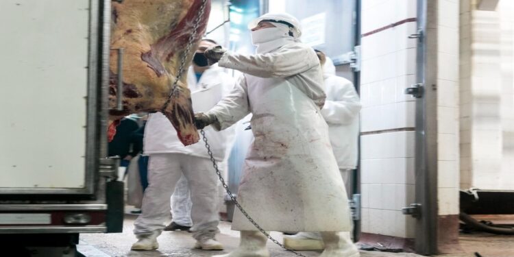 Otro robo a un camión con carne: los matarifes estiman pérdidas por más de $ 200 millones