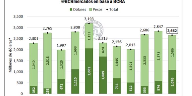 Financiamiento bancario en dólares para el agro: en el nivel más alto desde 2019