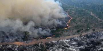 Incendios récord en Brasil: la Amazonia bajo amenaza y el impacto en sus biomas clave