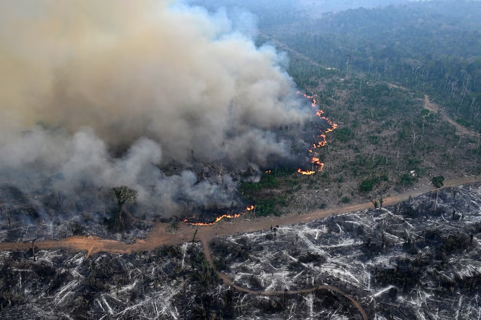 Incendios récord en Brasil: la Amazonia bajo amenaza y el impacto en sus biomas clave