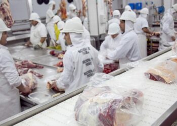 Exportaciones: Filipinas abre sus puertas a las carnes argentinas de pollo y de cerdo
