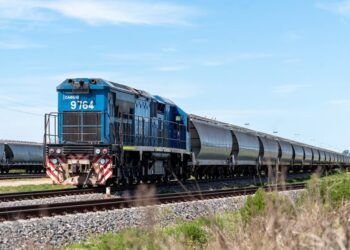 Trenes Argentinos Cargas: con aportes de agroexportadoras, comprarán 180 vagones