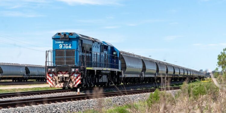 Trenes Argentinos Cargas: con aportes de agroexportadoras, comprarán 180 vagones