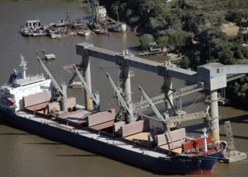 El 2025 del agro asoma con exportaciones en baja: los menores precios pesan más que la mayor cosecha