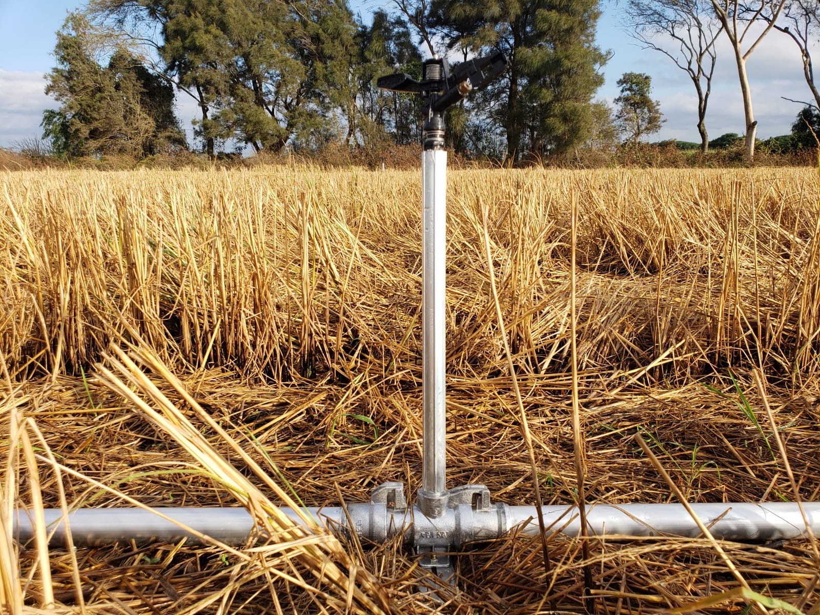 Essential Rain es sinónimo de soluciones en riego agrícola en Tucumán