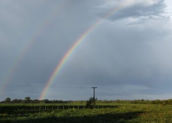 Lluvias: tras una primavera por encima del promedio, enero trae algunos signos de incertidumbre