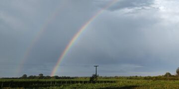 Lluvias: tras una primavera por encima del promedio, enero trae algunos signos de incertidumbre