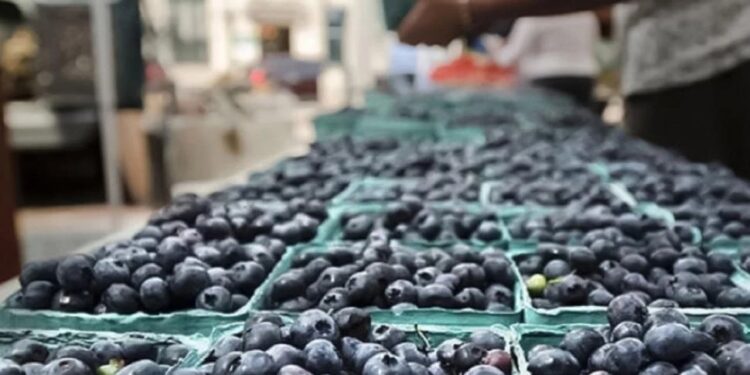 La baja producción de Perú favoreció la exportación de arándanos de la Argentina