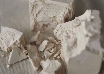 Etanol: más levaduras para potenciar la producción