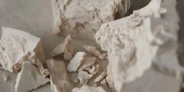 Etanol: más levaduras para potenciar la producción