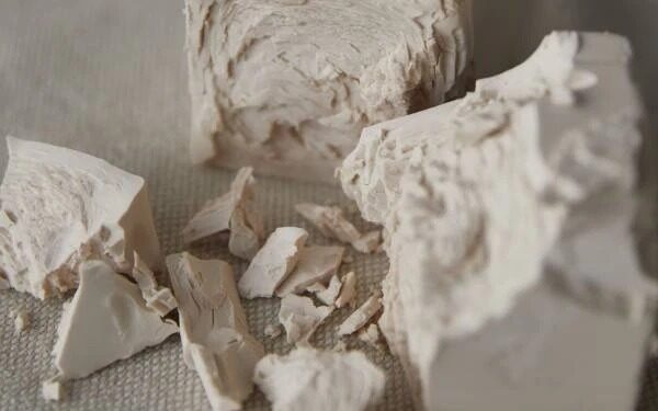 Etanol: más levaduras para potenciar la producción