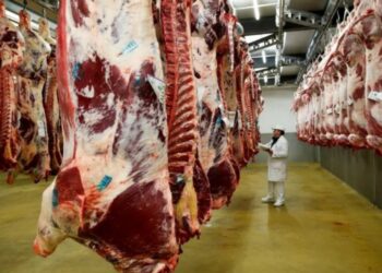 Mercado global de la carne: hace ruido investigación de China y los precios siguen en ajuste