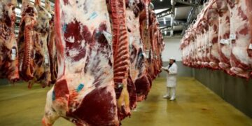 Mercado global de la carne: hace ruido investigación de China y los precios siguen en ajuste