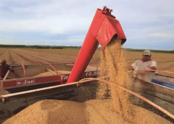 El campo espera señales y una menor carga impositiva
