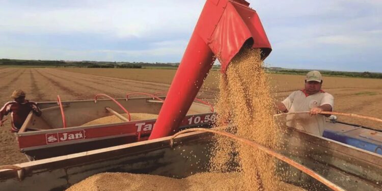 El campo espera señales y una menor carga impositiva