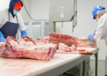 Uruguay: paros sorpresivos en la industria frigorífica generan consecuencias en la calidad de la carne