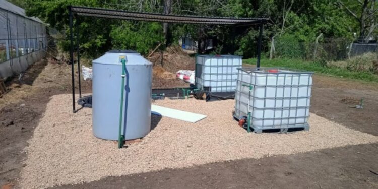 El innovador biofiltro para reducir el impacto ambiental de los agroquímicos