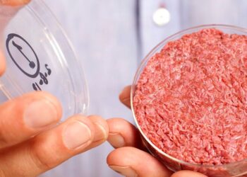 Carne “cultivada”: un estudio científico afirma que podría tener mayor impacto ambiental que la bovina