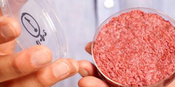 Carne “cultivada”: un estudio científico afirma que podría tener mayor impacto ambiental que la bovina